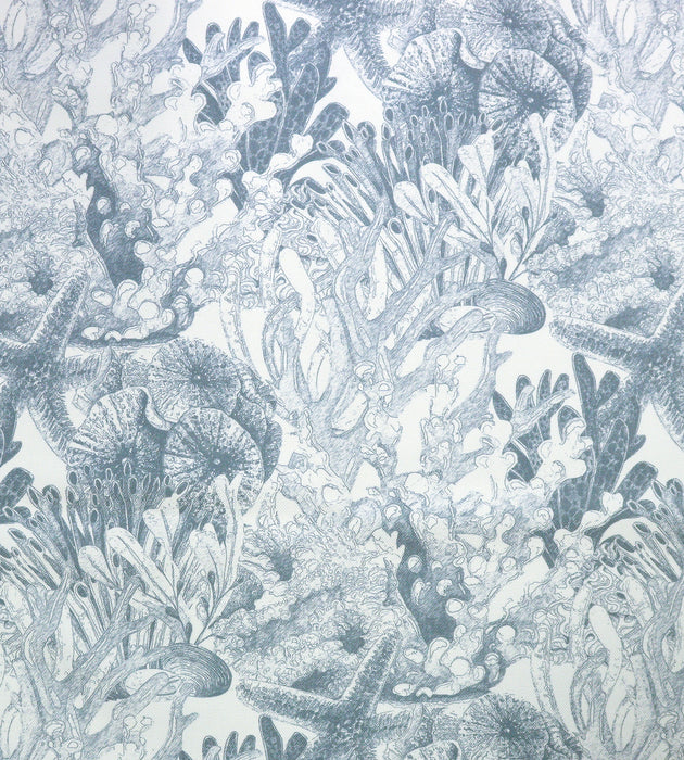 Aldeco Toile Sealife - Outdoor Fr Riverside Blue Fabric Sample A9TSEA0004