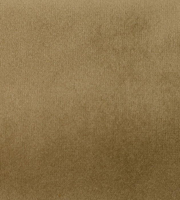 Aldeco Safety Velvet Simply Taupe Fabric Sample A9T0190006