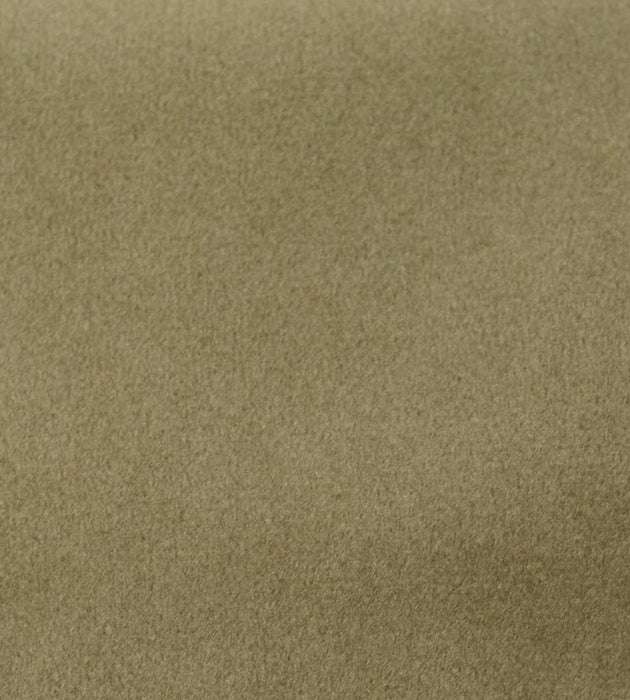 Aldeco Safety Velvet Greige Fabric A9T0190007
