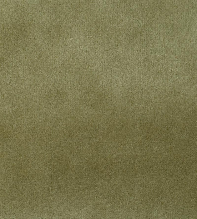 Aldeco Safety Velvet Plaza Taupe Fabric A9T0190009