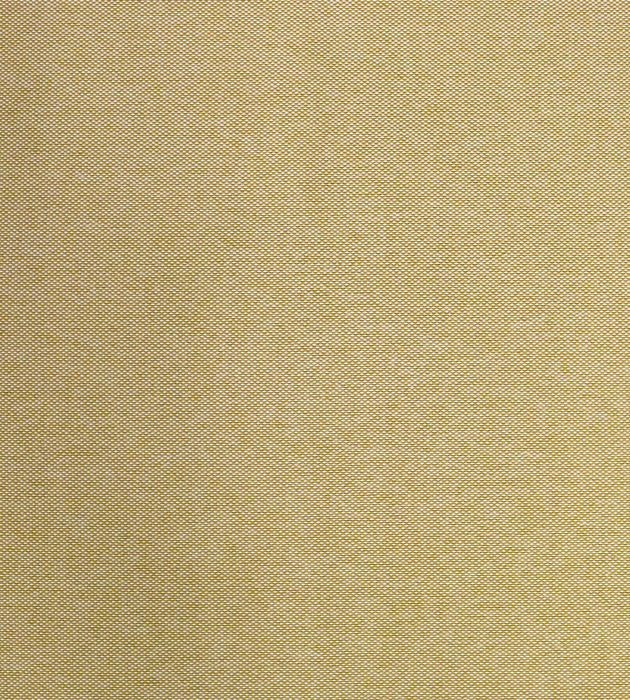 Aldeco Puka Puka - Outdoor Fr Misted Gold Fabric Sample A9PUKA0011