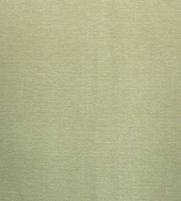 Aldeco Puka Puka - Outdoor Fr Misted Green Fabric Sample A9PUKA0013