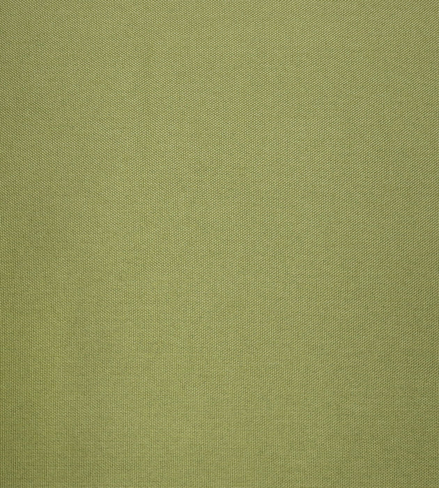 Aldeco Puka Puka - Outdoor Fr Eden Green Fabric Sample A9PUKA0014
