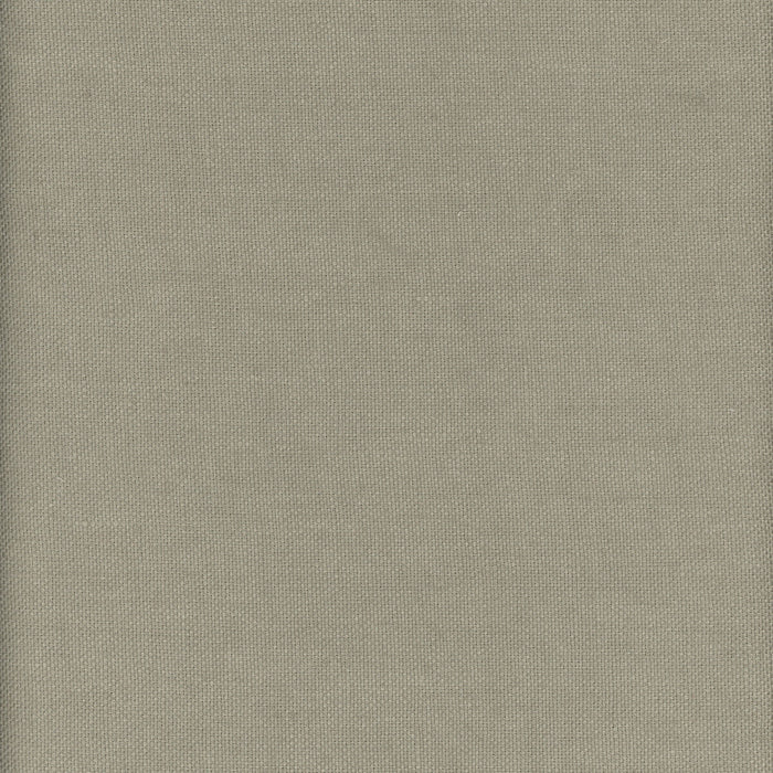 Kravet Couture Beagle Grasshopper Fabric AM100346.316.0