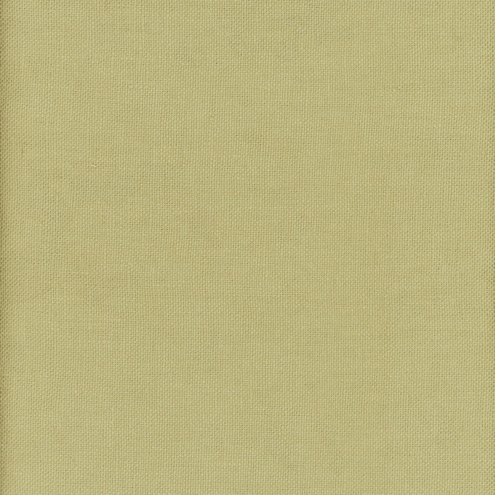Kravet Couture Beagle Firefly Fabric AM100346.3.0