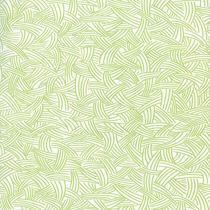 Alan Campbell Interweave Jungle Green Wallpaper AP404-03