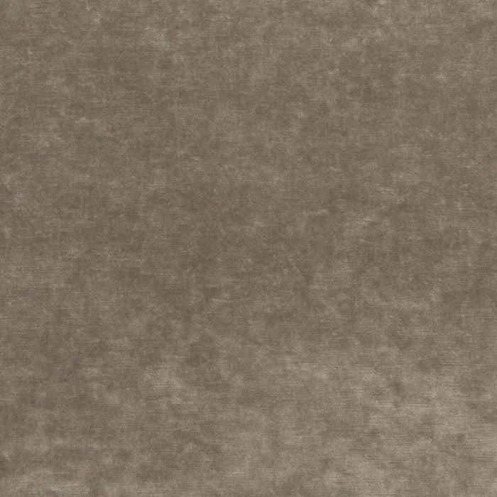 GP & J Baker King'S Velvet Mink Fabric BF10658.285.0