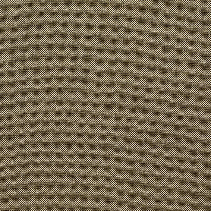 Lee Jofa Webster Moss Fabric BFC-3713.30.0