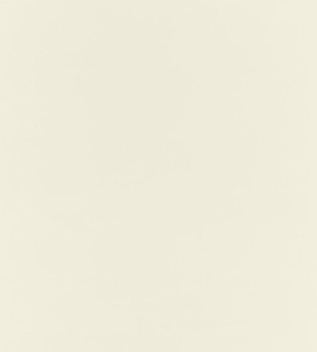 Boris Kroll Richmond Velvet Oyster Fabric BKK651220001