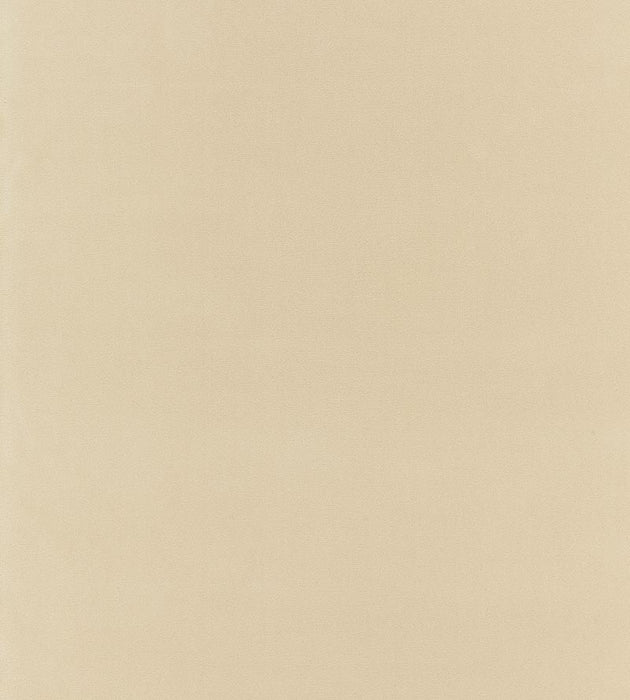 Boris Kroll Richmond Velvet Buff Fabric Sample BKK651220002