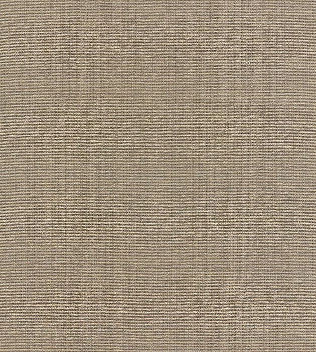 Boris Kroll Thompson Chenille Taupe Fabric BKK651140005