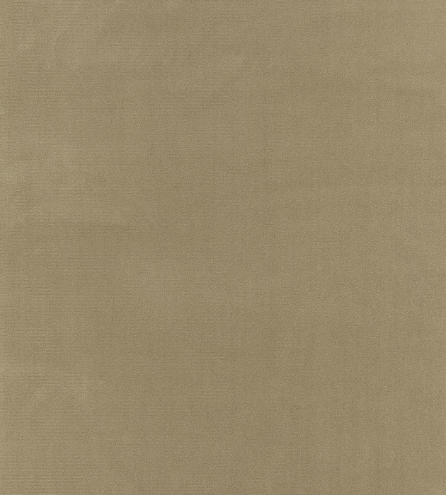 Boris Kroll Richmond Velvet Putty Fabric BKK651220005