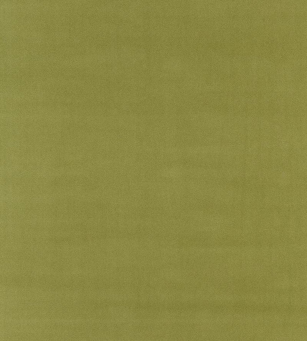 Boris Kroll Richmond Velvet Sage Fabric BKK651220009
