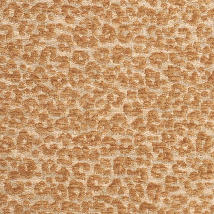 Charlotte Fabric CB900-145