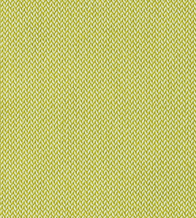 Christian Fischbacher Sonnen-Klar Green Apple Fabric Sample CH44310103