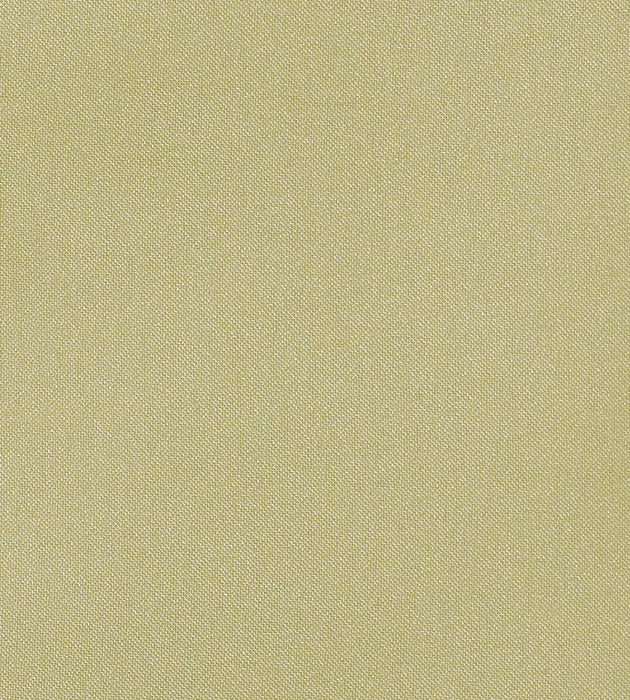 Christian Fischbacher Aramena Celadon Fabric Sample CH42700104