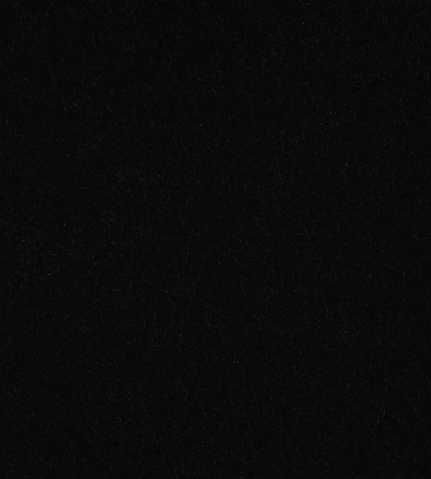 Christian Fischbacher Apollodor Raven Fabric Sample CH43000106