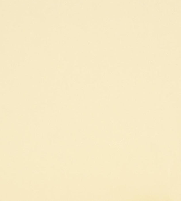 Christian Fischbacher Atomic Fr Natural Fabric Sample CH44600107