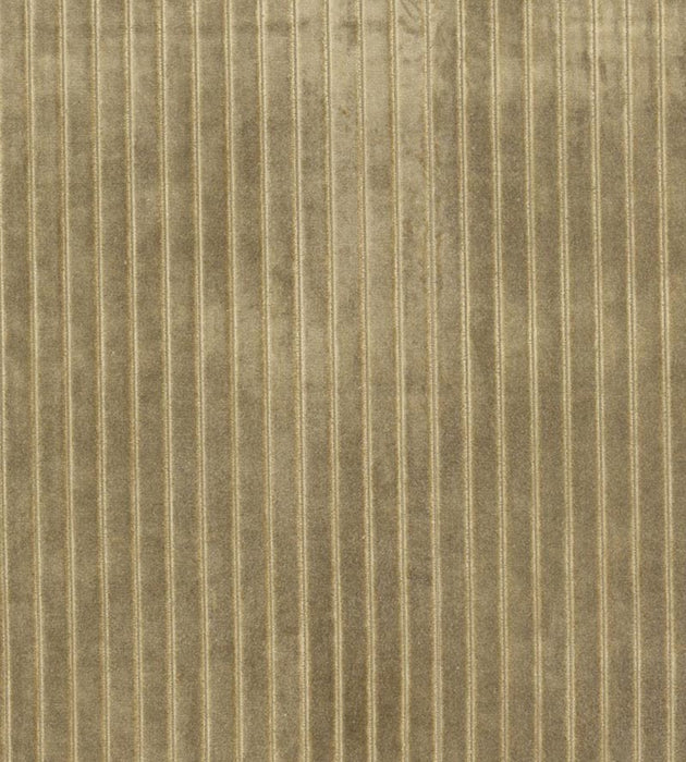 Christian Fischbacher Velvet Stripe Khaki Fabric CH44810107