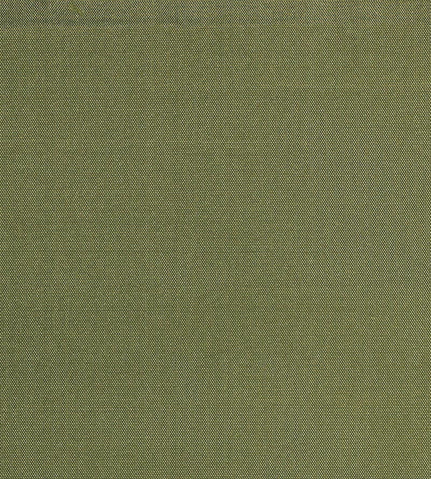 Christian Fischbacher Siam Split Pea Fabric Sample CH44000114