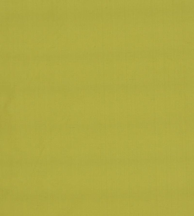Christian Fischbacher Jamila Ii Avocado Fabric Sample CH45000114