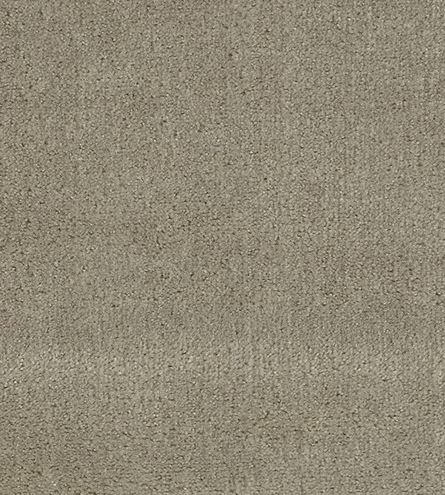 Christian Fischbacher Apollodor Dewdrop Fabric Sample CH43000115
