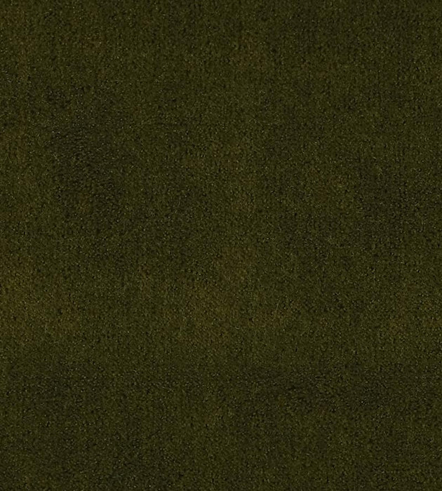 Christian Fischbacher Apollodor Pesto Fabric Sample CH43000124