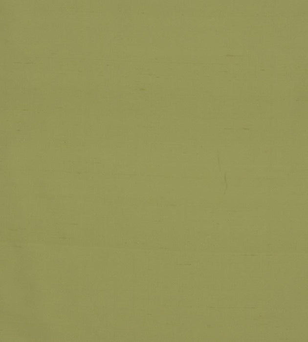 Christian Fischbacher Jamila Ii Celery Fabric Sample CH45000124