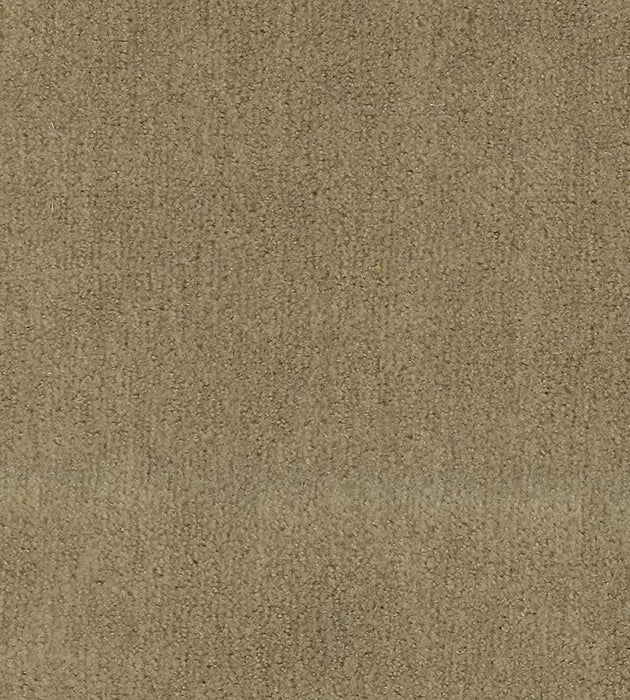 Christian Fischbacher Apollodor Desert Fabric Sample CH43000127