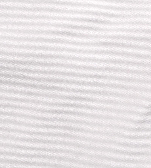Christian Fischbacher Taffeta Bs Platinum Fabric Sample CH45400135