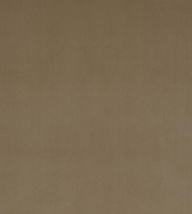Christian Fischbacher Vip Camel Fabric CH14470137