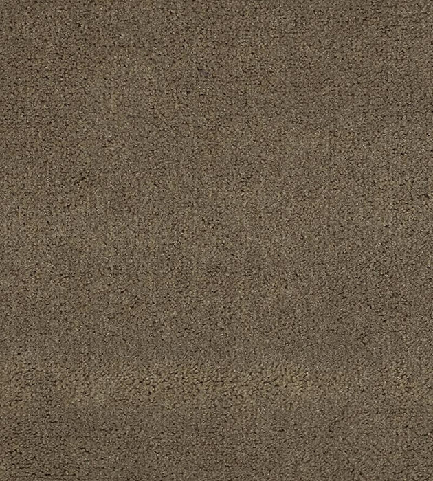 Christian Fischbacher Apollodor Mink Fabric Sample CH43000137