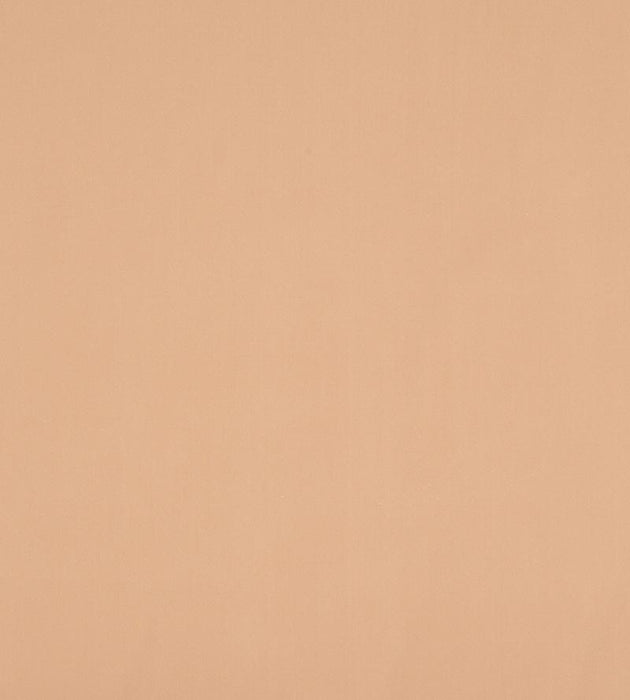 Christian Fischbacher Atomic Fr Mink Fabric Sample CH44600137