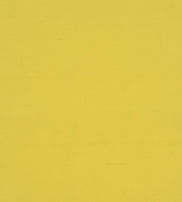 Christian Fischbacher Jamila Ii Lemon Fabric Sample CH45000143