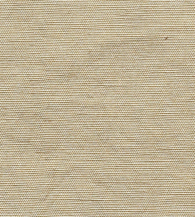 Christian Fischbacher Beluna Cashew Fabric Sample CH44100147