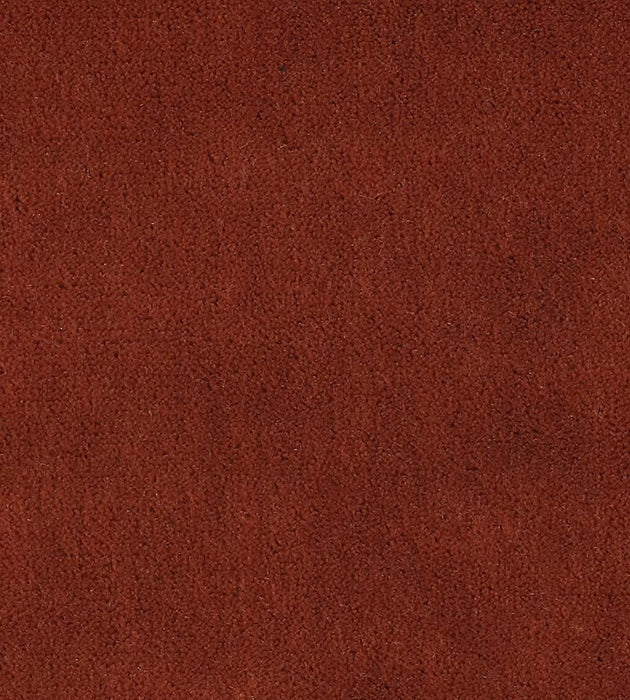 Christian Fischbacher Apollodor Guava Fabric Sample CH43000153