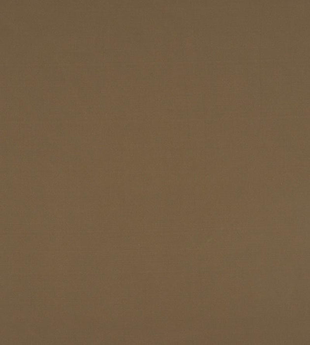 Christian Fischbacher Atomic Fr Truffle Fabric Sample CH44600167