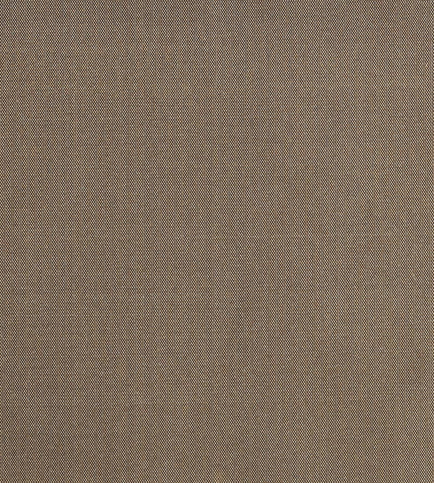 Christian Fischbacher Siam Sable Fabric Sample CH44000187