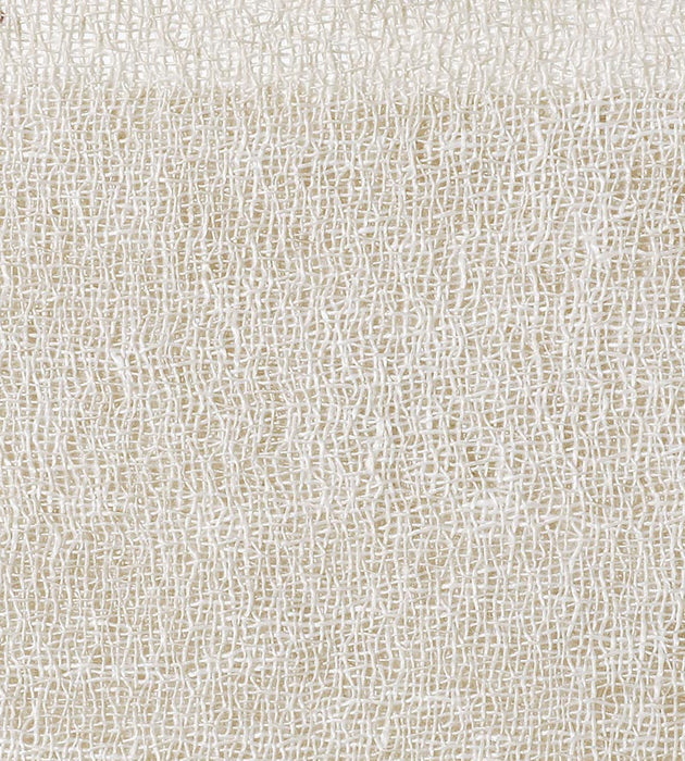 Christian Fischbacher Naturelle Pignoli Fabric Sample CH42620207