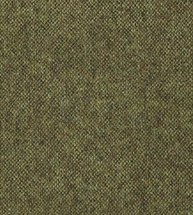 Christian Fischbacher Polaris Moss Fabric Sample CH43930304