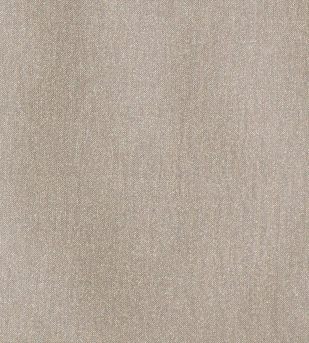 Christian Fischbacher Fata Morgana Pewter Fabric Sample CH14370401