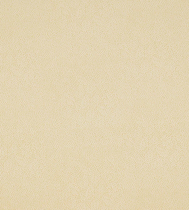 Christian Fischbacher Phoenix Dot Ivory Fabric CH45040407
