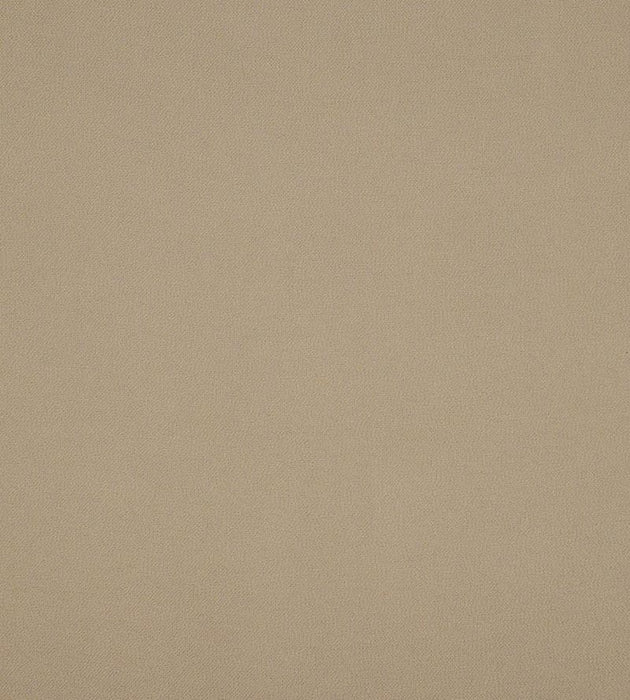 Christian Fischbacher Superb Tan Fabric Sample CH44760607