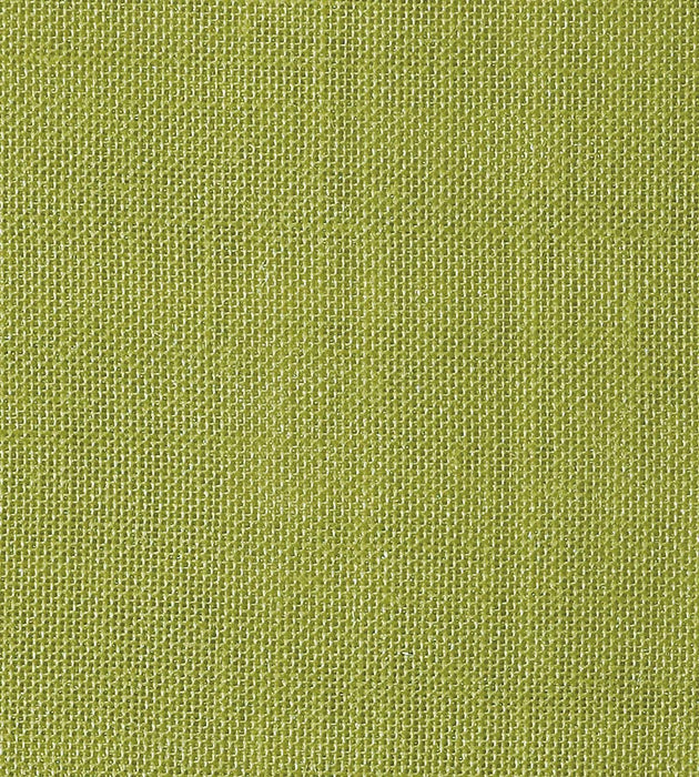 Christian Fischbacher Alsara Kiwi Fabric Sample CH41760614
