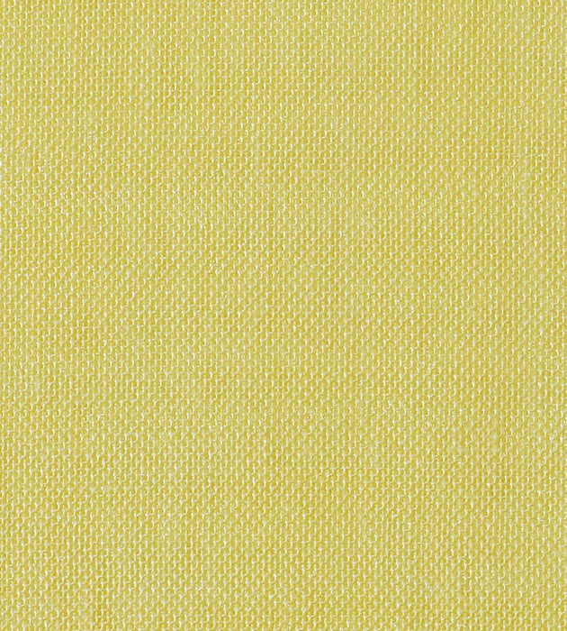 Christian Fischbacher Alsara Canary Fabric Sample CH41760623