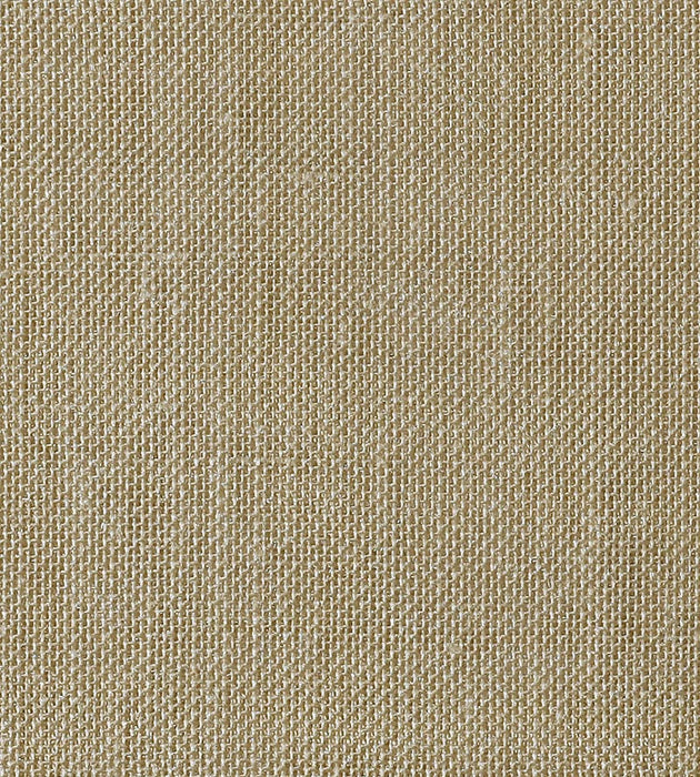 Christian Fischbacher Alsara Birch Fabric Sample CH41760667