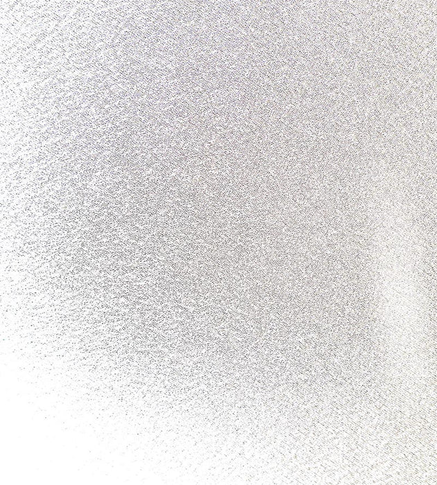 Christian Fischbacher Idra Eggshell Fabric Sample CH27770700