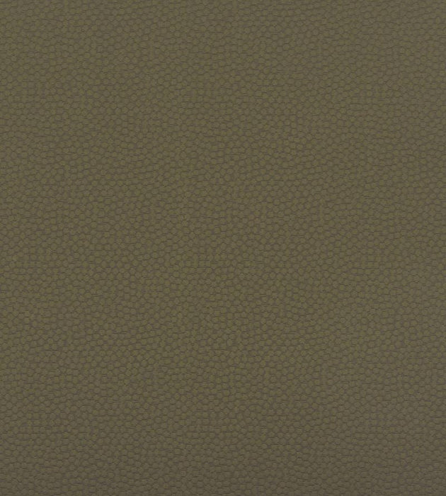 Christian Fischbacher Sterling Olive Fabric Sample CH44770704