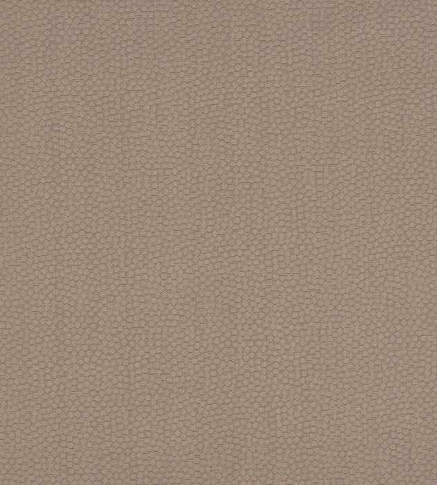 Christian Fischbacher Sterling Truffle Fabric Sample CH44770707