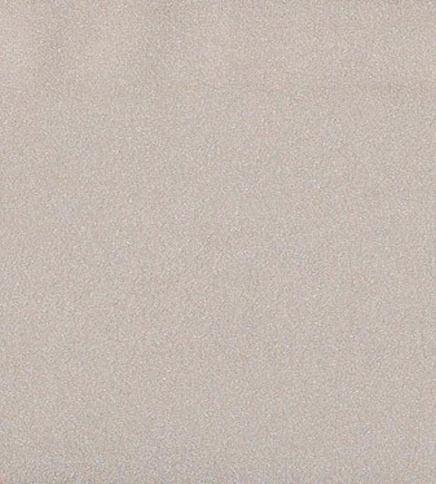Christian Fischbacher Georgette Almond Fabric Sample CH25190907